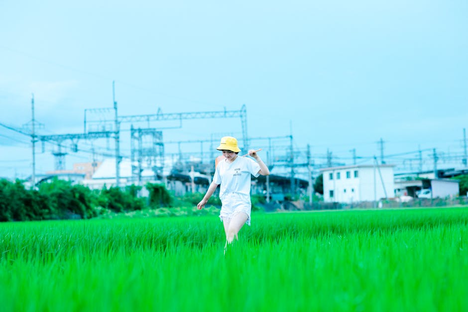 オープンスペース, カジュアル, くつろぎの無料の写真素材