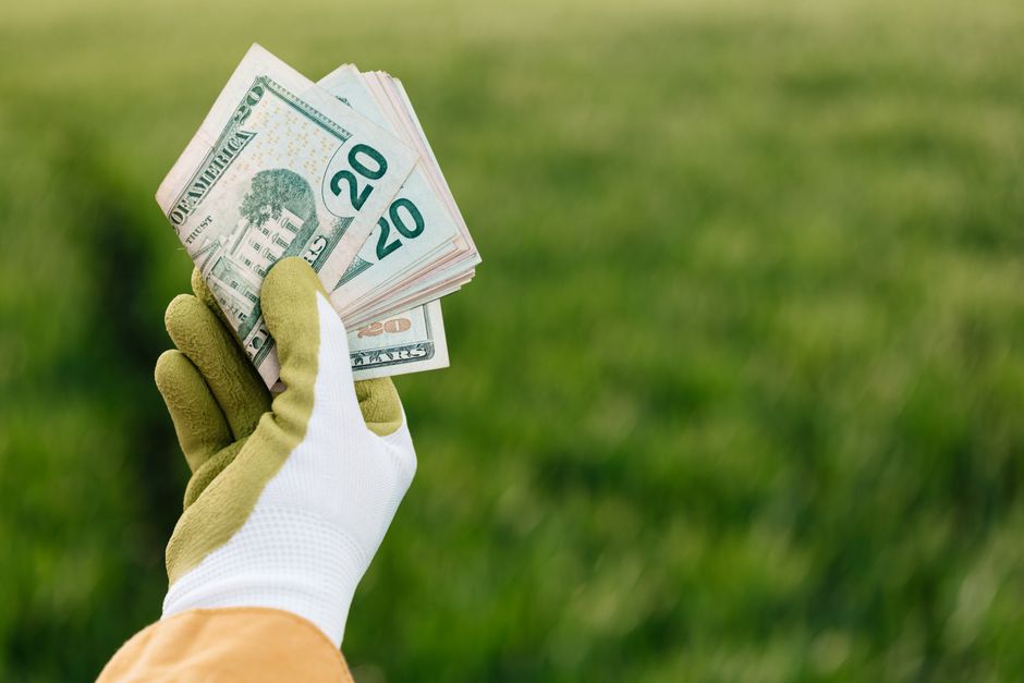 手袋を着けた人が豊かな緑の畑で20ドル札を持っており、農業と金融を象徴しています。